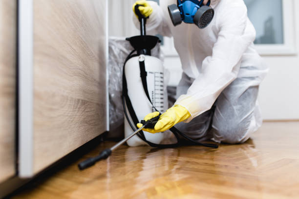 Best Emergency Pest Control  in La Riviera, CA