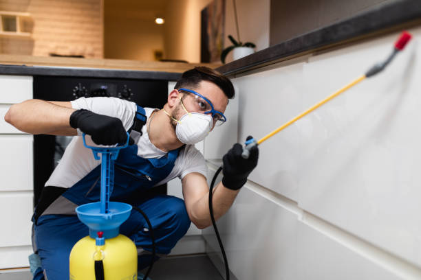 Best Best Pest Control Companies  in La Riviera, CA