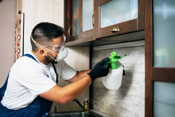 Best Pest Control Treatment  in La Riviera, CA