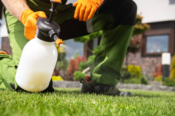 Best Best Pest Control Companies  in La Riviera, CA