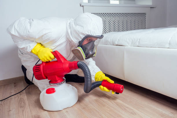 Best Pest Control Near Me  in La Riviera, CA
