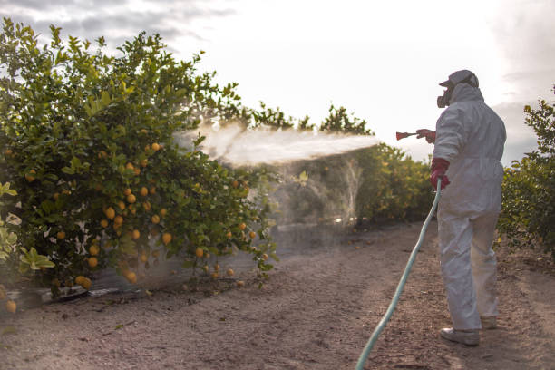 Best Exterminator Services  in La Riviera, CA