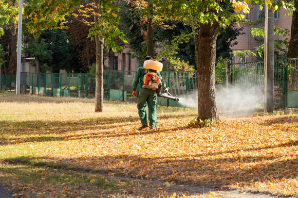 Best Rodent Control Near Me  in La Riviera, CA