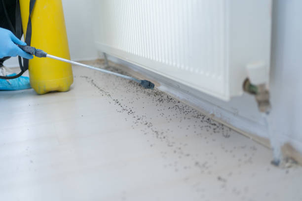 Best Pest Inspection Near Me  in La Riviera, CA