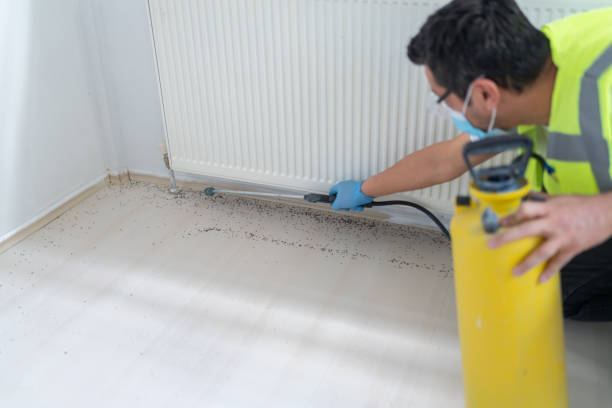 Best Ant Control Services  in La Riviera, CA