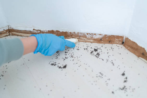 Wildlife Control Services in La Riviera, CA