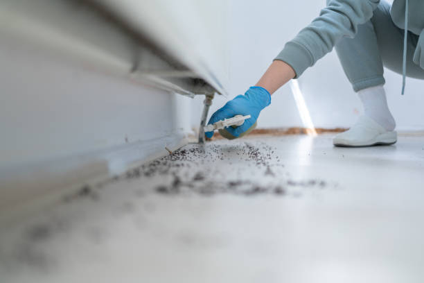 Best Pest Control for Restaurants  in La Riviera, CA